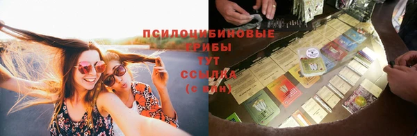 PSILOCYBIN Михайлов