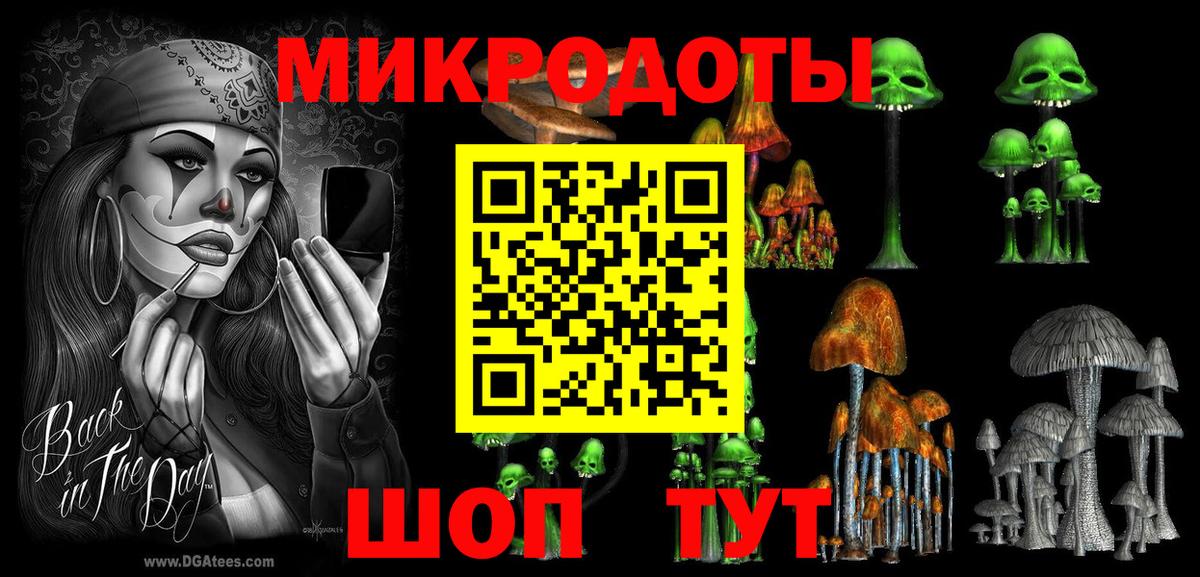 закладка  Псилоцибиновые грибы Psilocybe  Карачаевск  Псилоцибиновые грибы MAGIC MUSHROOMS 