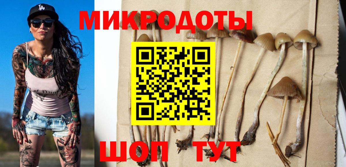 хочу наркоту  Галлюциногенные грибы ЛСД  Вход с VPN  Псилоцибиновые грибы мицелий  Карачаевск 