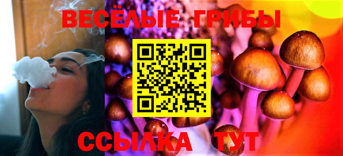 Галлюциногенные грибы Cubensis Карачаевск